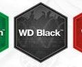 Western digital синий зеленый черный и зеленые цветные отличия