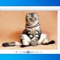 Установить программу просмотра фотографий windows 7