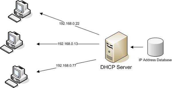 Как включить dhcp cmd