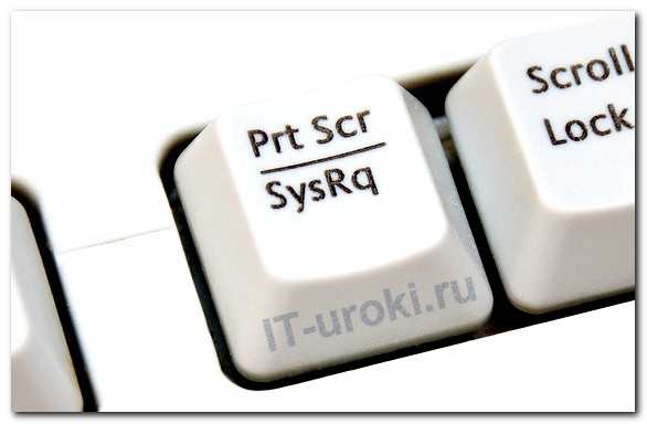 Вставить скриншот ссылка