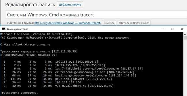 Число прыжков tracert